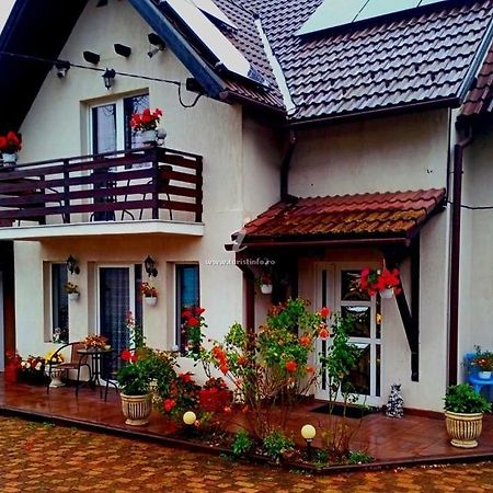 Edelweiss Ilinca Apartment Zarnesti Ngoại thất bức ảnh