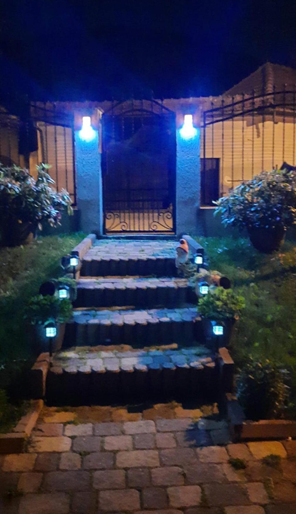 Edelweiss Ilinca Apartment Zarnesti Ngoại thất bức ảnh